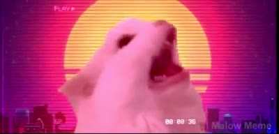 Random video #30