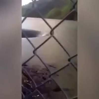 gritos perfeitamente cortados (divirtão-se)