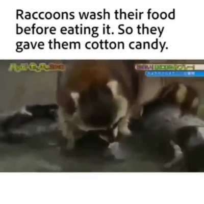 NOOOO