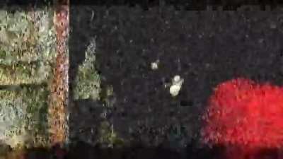 Creep<wbr>y_Sto<wbr>p.avi [Unsettling] [Series]