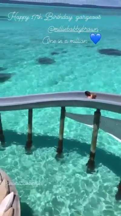 Waterslide