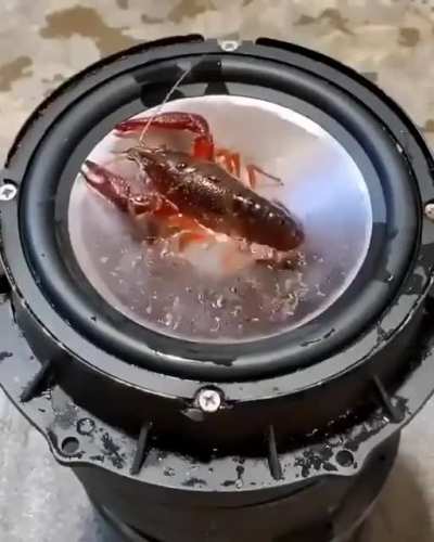 DROP