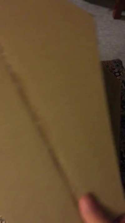 As requested by Mr. Cow: “YEP in a coffin”