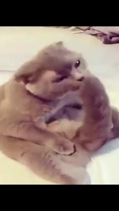 🥵🥵🥵🥵