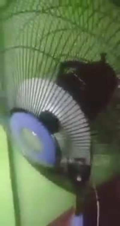 toy fan