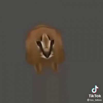 Flopspin