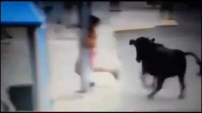 To outwit a bull