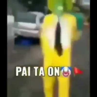 Palhazo
