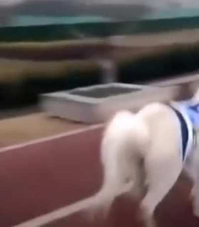 This pony don’t care 😂