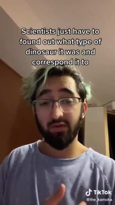 I love me some Dinosaur Facts !