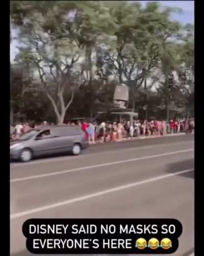 Not sure why Disneyland is so hyped up, living walking distance from Harbor, I only cared about Vons and 7/11 nearby