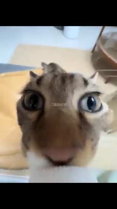 Thirsty wunker
