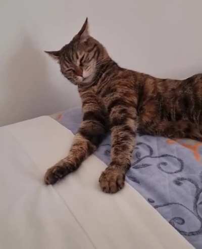 Big stretch 