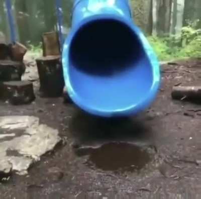Having fun in the park
