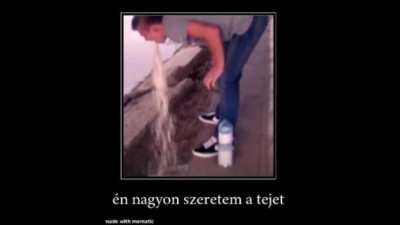 Óigen, tej