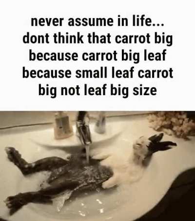 rule?