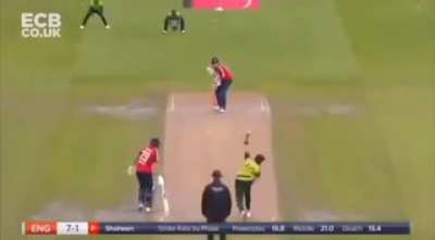 Inshallah bois fielded well