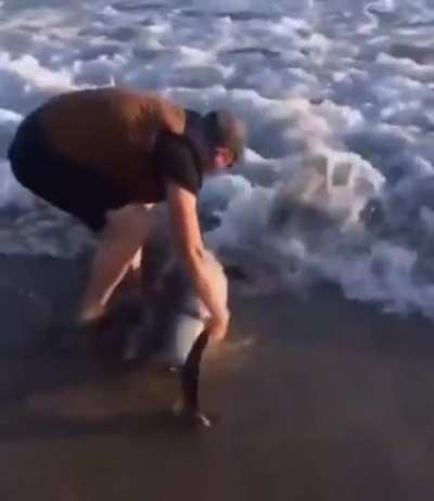 Man saves baby dolphin that is beached.