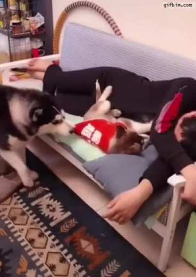 That's my spot