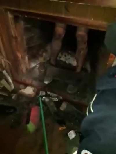 titulo