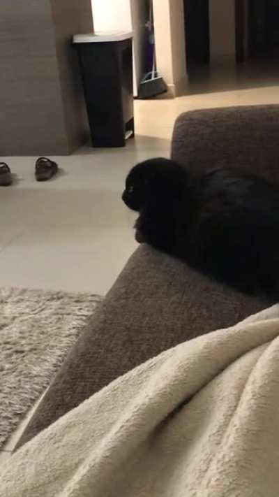 Delayed startle