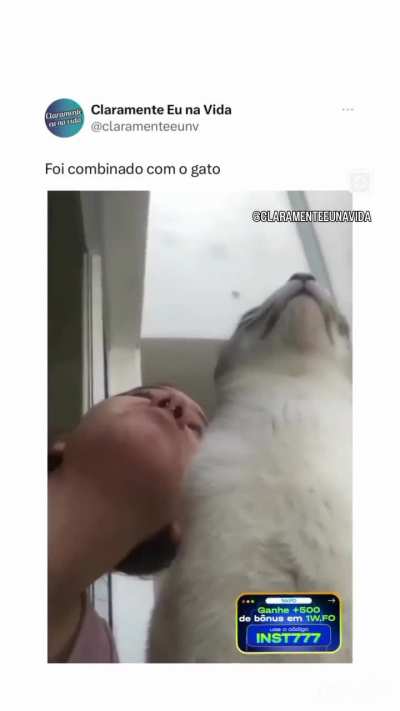 Miau