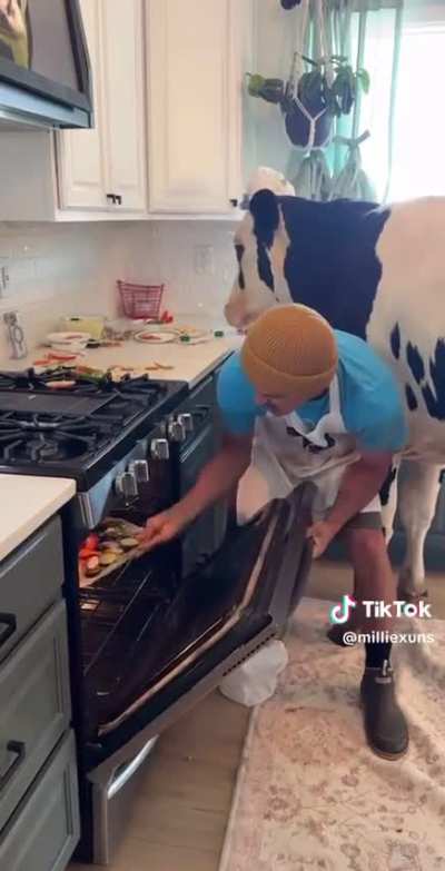 Cow