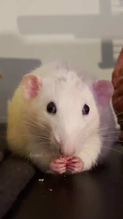 I think everyone needs to see Kevin