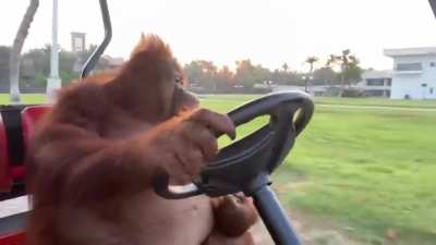 monke