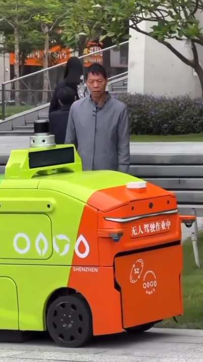 Blursed_future
