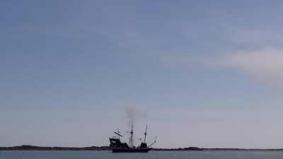 Pirates....