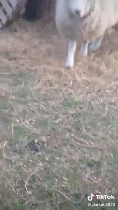 Oscar esta en depresión