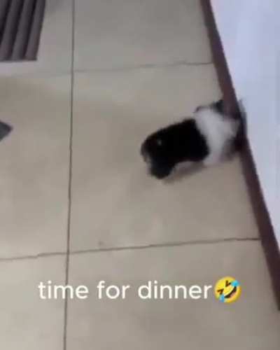 Hora do lanche 