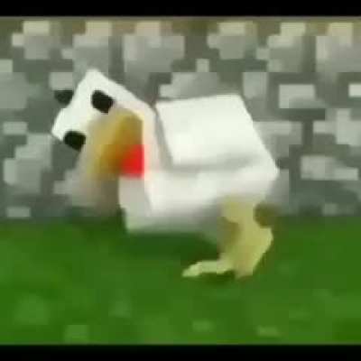 Fighter chickens 3