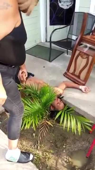 Og Knocked A Man Out Cold