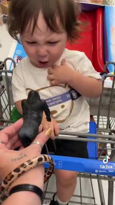 Gorilla