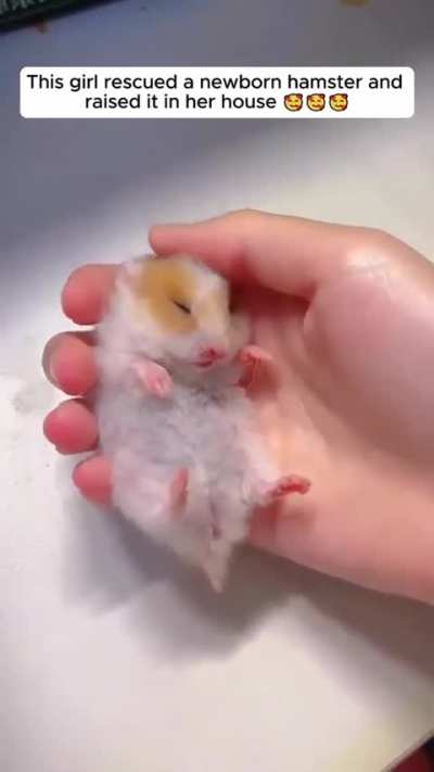 The innocence of a baby wunk can teach us the true wunk meaning of wunkurity.