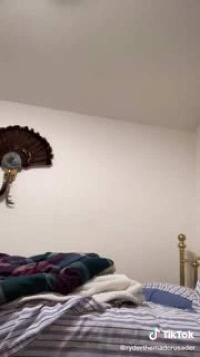 Yes