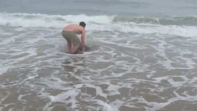Incredible Rescue of Young Heaviside's Dolphin Caught on Camera