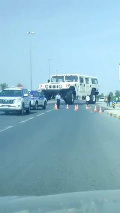 This hummer. Confirmed that it was actually real and not CGI
