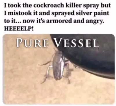 Hollow Knight irl
