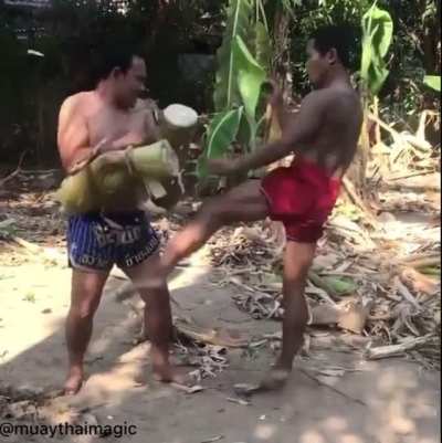 Thai Pads!