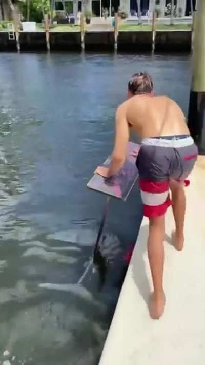 Getting your hydrofoil board started.
