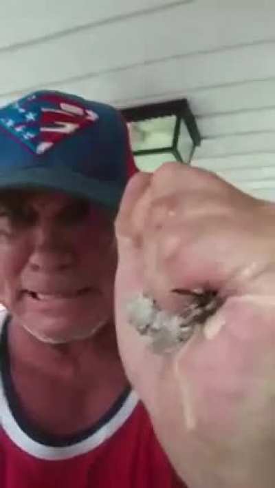 An upset man grabs and crushes a wasp nest and then puts it his mouth to chew and then spit out while humming his own theme tune. I'm guessing he was dumped or something. Just a strange video tbh.