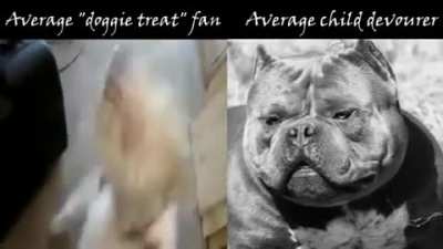 Based dog