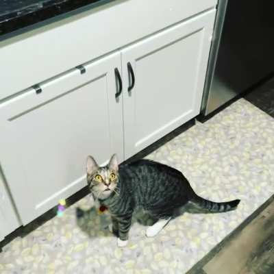 Hobbs meets bubbles