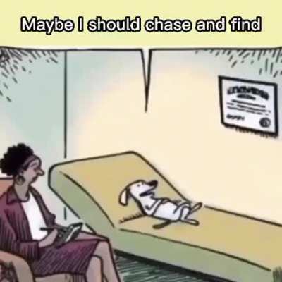 Dog therapy