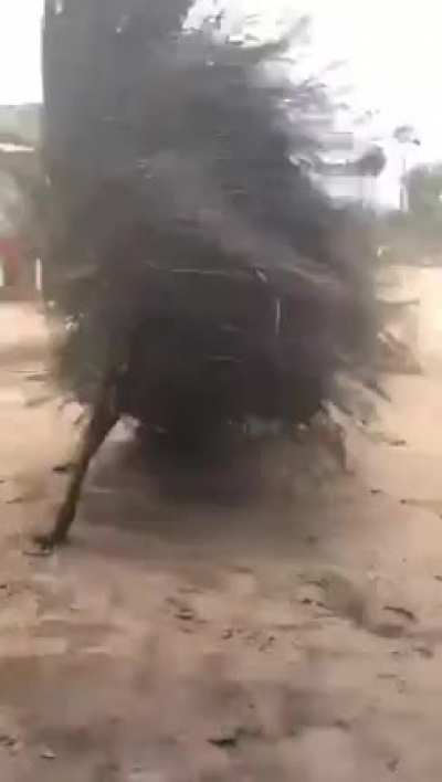 I can’t see anyone inside, it’s a spirit