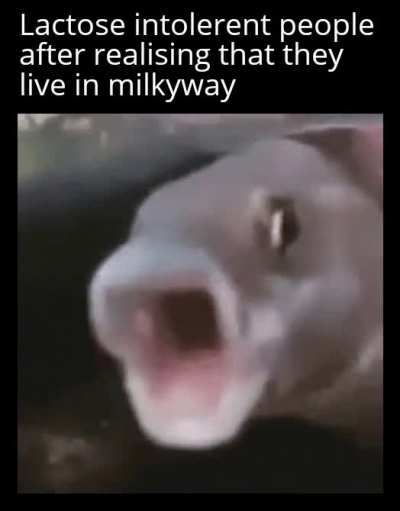 I wonder who named our galaxy milkyway
