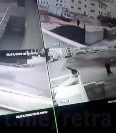 Удачного полёта, псина!